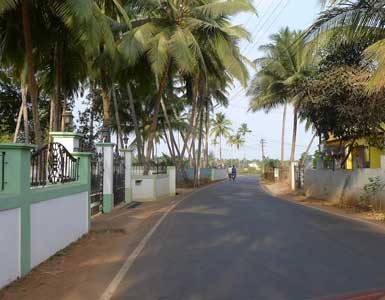 Cuncolim Goa Escorts